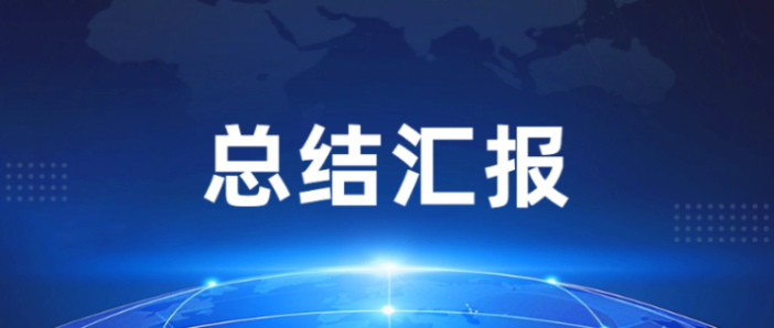 村委2025年度党建工作总结报告